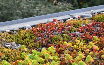 the cost of Culky green roof installation